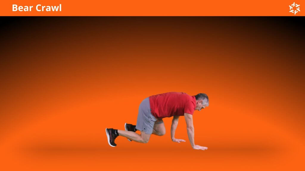 Short and clear explanations to perform Bear Crawl correctly and avoid common mistakes.