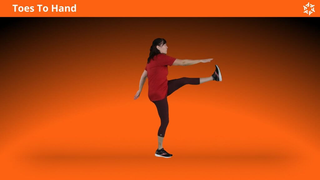 Short and clear explanations to perform Toes To Hand correctly and avoid common mistakes. Find more fitness movements to do at home.