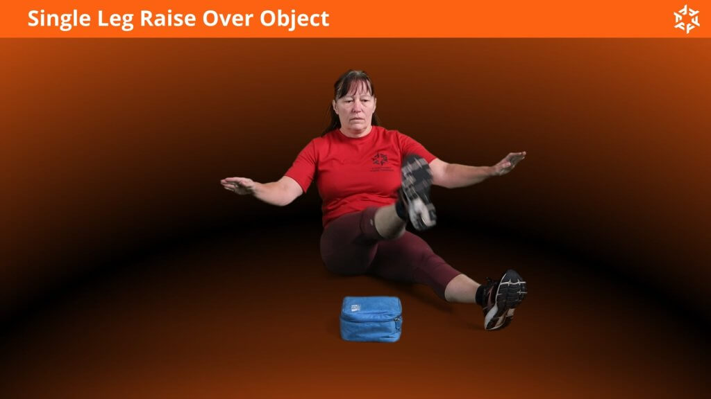 Korte en duidelijke uitleg om Single Leg Raise Over Object op een correcte manier uit te voeren en veel voorkomende fouten te vermijden.