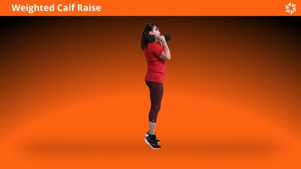 Korte en duidelijke uitleg om Weighted Calf Raise op een correcte manier uit te voeren en voorkomende fouten te vermijden.