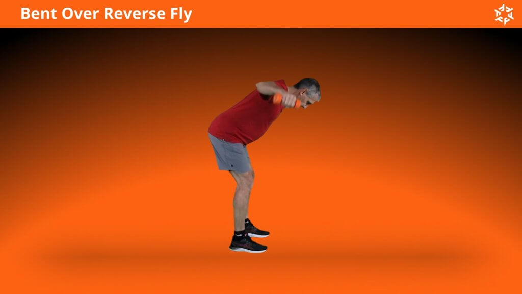 Explication courte et claire pour effectuer Bent Over Reverse Fly correctement et éviter les erreurs courantes.