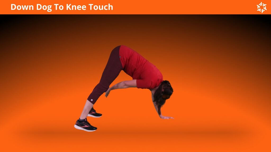 Explication courte et claire pour effectuer Dow Dog To Knee Touch correctement et éviter les erreurs courantes.