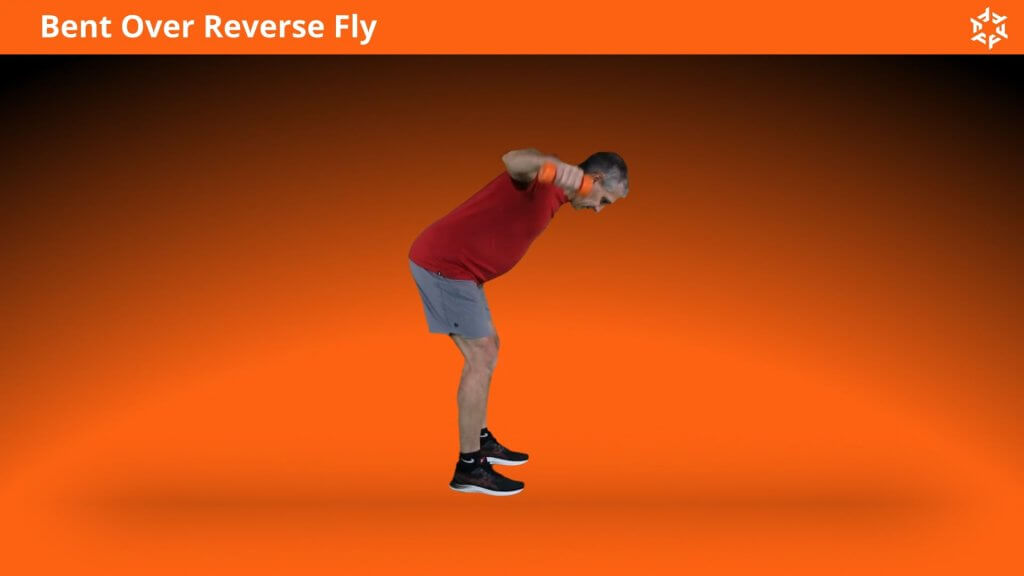 Korte en duidelijke uitleg om Bent Over Reverse Fly op een correcte manier uit te voeren en veel voorkomende fouten te vermijden.