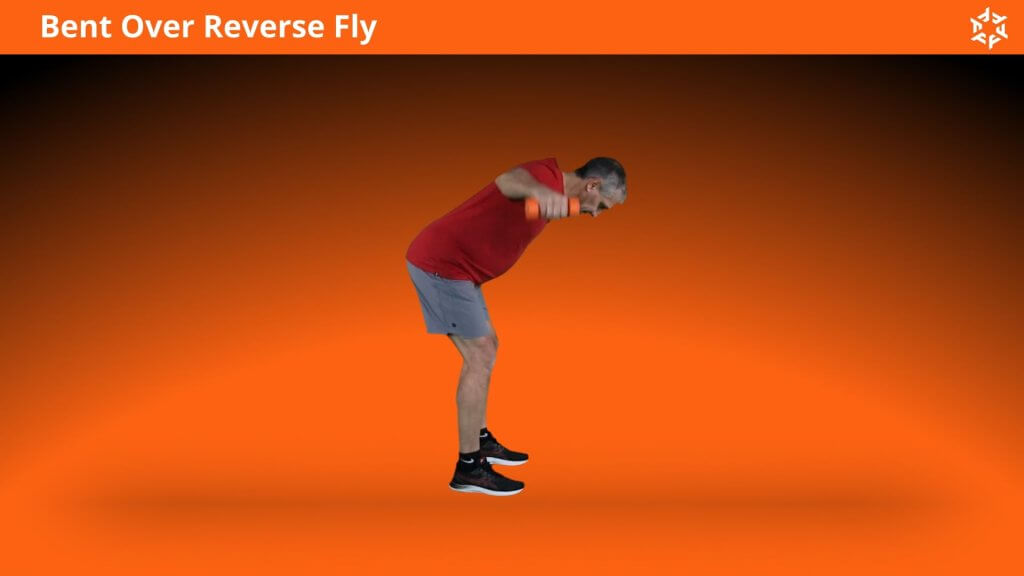 Short and clear explanation to perform Bent Over Reverse Fly correctly and avoid common mistakes.