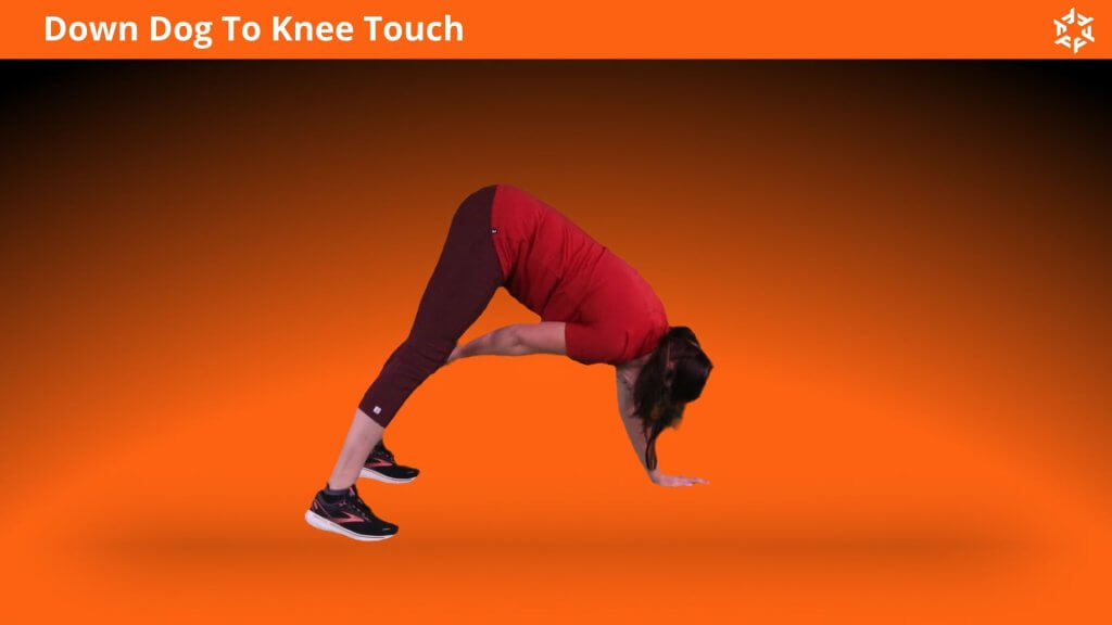 Short and clear explanation to perform Down Dog To Knee Touch correctly and avoid common mistakes.