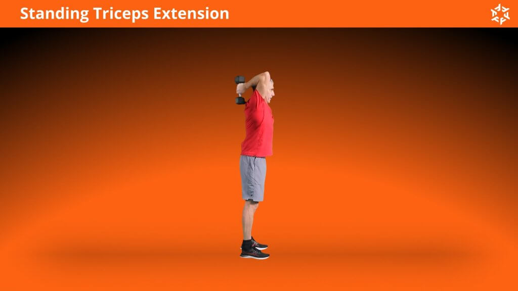 Explication courte et claire pour effectuer Standing Triceps Extension correctement et éviter les erreurs courantes.