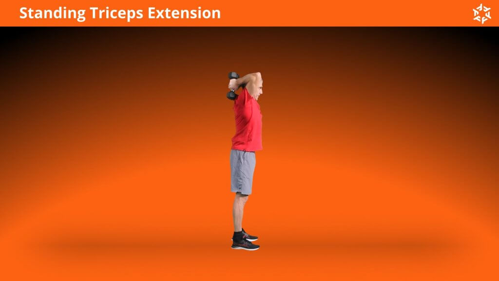 Korte en duidelijke uitleg om Standing Triceps Extension op een correcte manier uit te voeren en veel voorkomende fouten te vermijden.