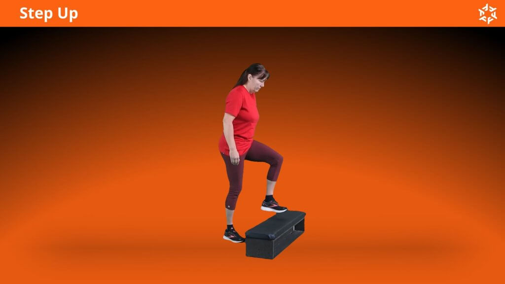 Korte en duidelijke uitleg om Step Up op een correcte manier uit te voeren en veel voorkomende fouten te vermijden.