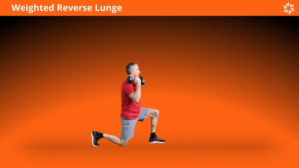 Korte en duidelijke uitleg om Weighted Reverse Lunge op een correcte manier uit te voeren en veel voorkomende fouten te vermijden.