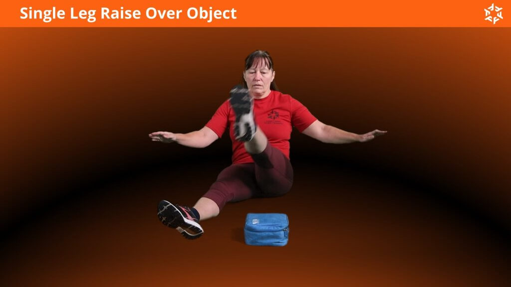 Short and clear explanation to perform Single Leg Raise Over Object correctly and avoid common mistakes.